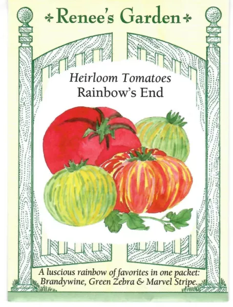 Tomato Rainbow'S End Vegetable Seeds Fresh Garden - £9.28 GBP