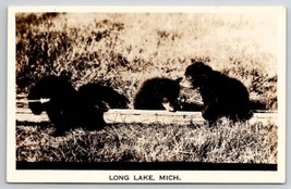 RPPC Adorable Bear Cubs At Long Lake MI Michigan Photo Postcard U25 - £7.15 GBP