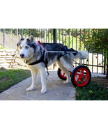 Large Best Friend Mobility Dog Wheelchair - €223,99 EUR
