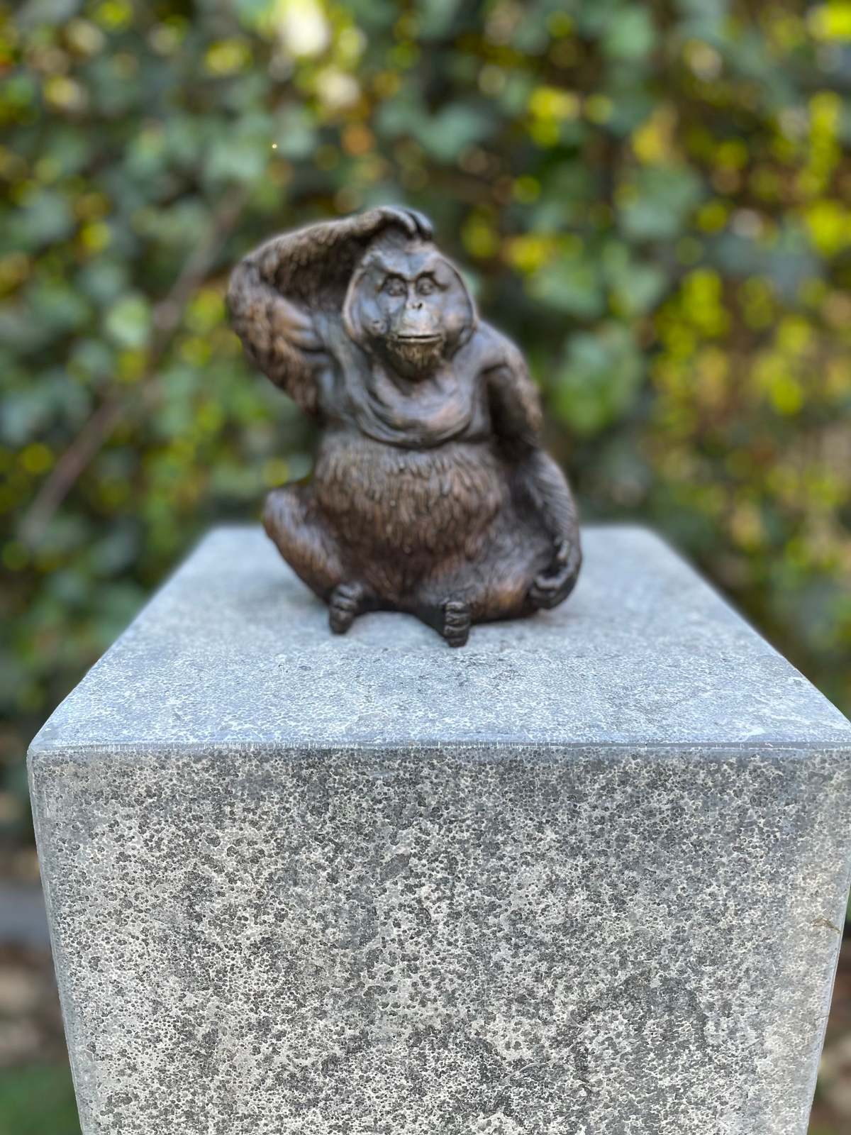 Curious Orangutan – Bronze Sculpture. 16x10x14cm - 1.1Kg - $189.95
