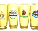 4 Grandauer Wildbrau Grafing  0.5L German Beer Glasses - $19.95