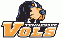 University of Tennessee Vols Mascot Smokey NCAA Ladies Polo XS-6XL Womens New - £21.01 GBP+