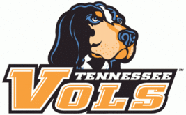 University of Tennessee Vols Mascot Smokey NCAA Ladies Polo XS-6XL Women... - $25.07+