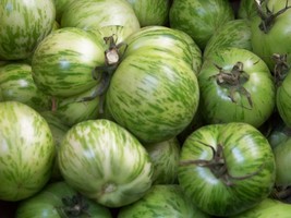 FMG Tomato Green Zebra Heirloom 50 Seeds Groco Fast Grow - $9.25
