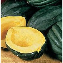 Best SELLER USA 10 Seeds Table Queen Squash Seeds - £6.43 GBP