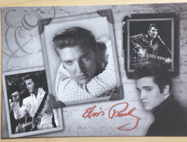 Elvis Presley Postcard Elvis In 4 Poses - $3.46