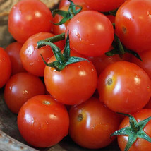 Fresh 50 Seeds Cherry Sweetie Tomato Juicy Tomatoe Vegetable Edible Food Gardeni - £6.58 GBP