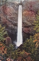 Latourelle Falls Columbia River Oregon OR on Line O.W.R. &amp; N. Co. Postcard C04 - £2.34 GBP
