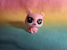 2016 Littlest Pet Shop Olin Orso Blue Eyes #329 - $3.94