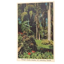 Postcard Majestic Royal Palms Beautiful Sunken Gardens St Petersburg Florida - $6.98