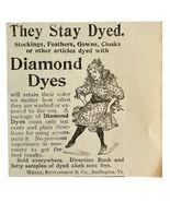 Wells Richardson Diamond Dyes 1894 Advertisement Victorian Fashion ADBN1bbb - €8,52 EUR