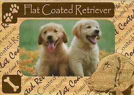Flat Coated Retriever w Paws Engraved Wood Picture Frame Magnet - £11.14 GBP
