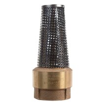 Campbell 2 in. Dia. x 2 in. Dia. Brass Spring Loaded Foot Valve - $156.01 CAD