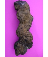 Giant Lizard Poop 5 Million Years Old Coprolite Genuine Fossil Dino Girl... - $47.85 CAD