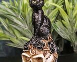 Wicca Magic Black Mystical Cat Sitting On Skull With Poison Roses Mini F... - $15.95