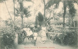 Colombo Ceylon Sri Lanka~Bullock HACKERY-GINRICKSHAW~1907 Plate Photo Postcard - £8.01 GBP