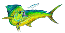 Dorado Mahi Dolphin Jumping with Baitfish Vinyl Decal/Sticker for Windows/Cup - £5.53 GBP+
