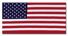 USA/American Flag Souvenir Gift Cotton Beach Towel 30&quot;x60&quot; - $9.41