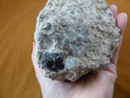 (r687-11) black obsidian volcanic glass Giant Apache tear MATRIX specimen legend - £34.37 GBP
