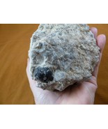 (r687-11) black obsidian volcanic glass Giant Apache tear MATRIX specime... - £33.82 GBP