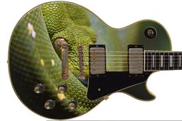 Guitar Skin Axe Wrap Re-skin Green Tree Python Snake Yellow Eyes 675 - $27.71+