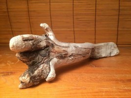 natural scavenged Driftwood Art Craft landscaping statue aquarium drift wood 9&quot; - £15.76 GBP
