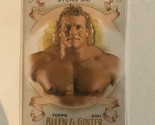 Psycho Sid Topps Heritage Trading Card Allen &amp; Ginter #AG23 - $1.97