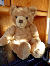 Large Teddy Bear Plush Toy by F A O Schwarz 5th Ave 2017 18in - £6.59 GBP