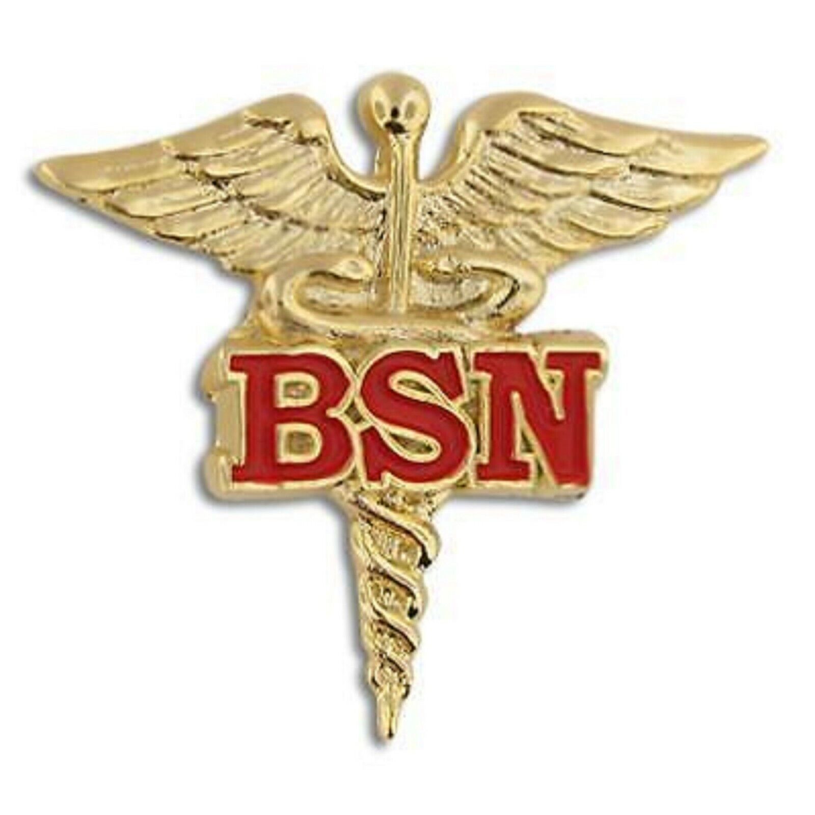 Primary image for BSN BACHELOR OF SCIENCE NURSING NURSE GOLD CADUCEUS RED MEDICAL BADGE PIN