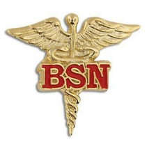 Bsn Bachelor Of Science Nursing Nurse Gold Caduceus Red Medical Badge Pin - £15.79 GBP