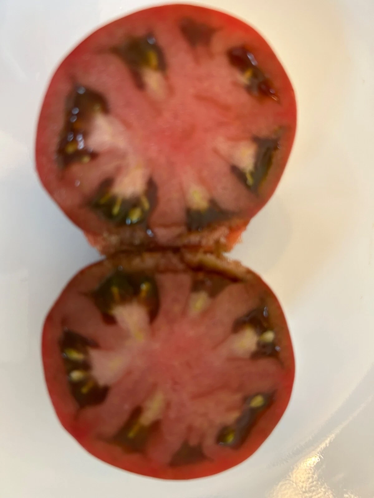 15 Black Sea Man Tomato Seeds NON-GMO - €3,32 EUR