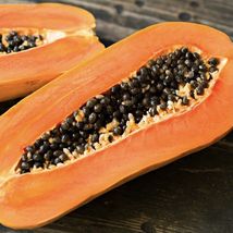 Papaya Intenzza (Carica Papaya) Living Fruits Trees 12”-24” - £47.96 GBP