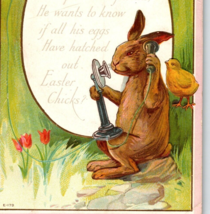 Easter Postcard Fantasy Rabbit &amp; Baby Chick Talking On Candlestick Phones E 179 - £11.84 GBP