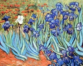 Vincent Van Gogh Irises Flower Floral Garden Fine Art Print Poster (16X20) - £27.17 GBP