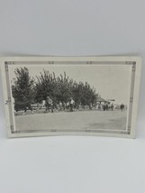 Vintage Photograph Farmer’s Day Cow Parade Town Fair Faire Rural Market 1930s - £5.49 GBP