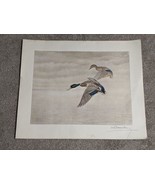 Leon Danchin Mallard Duck Bird Lithograph Print Color Art 24x20 Vintage ... - £48.98 GBP