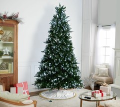 Casa Zeta-Jones 9&#39; Doulgas Fir LED Function Frosted Tree in Silver - $465.59