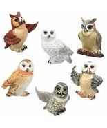 Owls Collectible Figurine, Set of 6 - $53.09 CAD