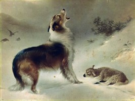 Collie Found Lost Sheep Lamb &quot; Shepard&#39;s Call&quot; Giclee Fine Art Canvas Print - £7.62 GBP+
