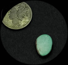 3.0 cwt Tortoise Mountain Turquoise Cabochon - $319.15 MXN