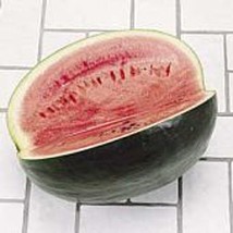 Black Diamond Watermelons  10 Seeds  Garden Beautiful USA SELLER - $8.48