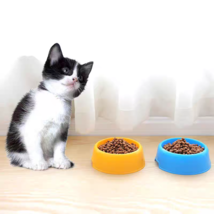 YICP pet bowls,Safe & Durable Material image 2
