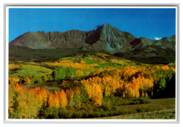 Golden Aspen Trees on Mt Wilson in Colorado Landscape View Postcard Posted 1982 - £3.65 GBP