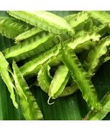 Winged Bean  10 Seeds  Psophocarpus tetragonolobus - $231.96 MXN