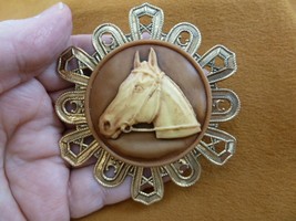 CL54-31) HORSE RACE derby Stallion head mare tan CAMEO Brooch Pin Pendant horses - £29.88 GBP