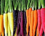1000 Rainbow Carrot Blend Mix Seeds  Non Gmo Heirloom Organic Fresh Fast... - $17.76