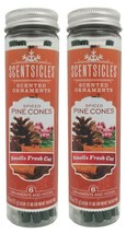 (2 Ct) Enviroscent Scentsicles Scented Ornaments, Spiced Pine Cones, 6 Ornaments - £19.37 GBP