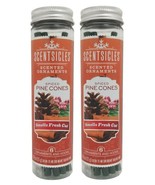 (2 Ct) Enviroscent Scentsicles Scented Ornaments, Spiced Pine Cones, 6 O... - $33.94 CAD