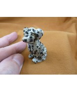 Y-DOG-LA-553) black white spotted Dalmatian large lap Dog FIGURINE gemst... - €15,89 EUR