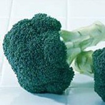 Green Magic Broccoli Seeds Gardening Easy Grow Usa Shipping - $5.60